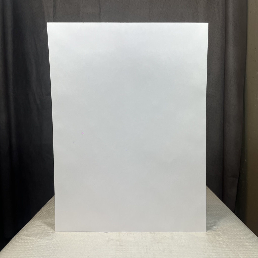 ENVELOPE, WHITE 6.5 X 9.5